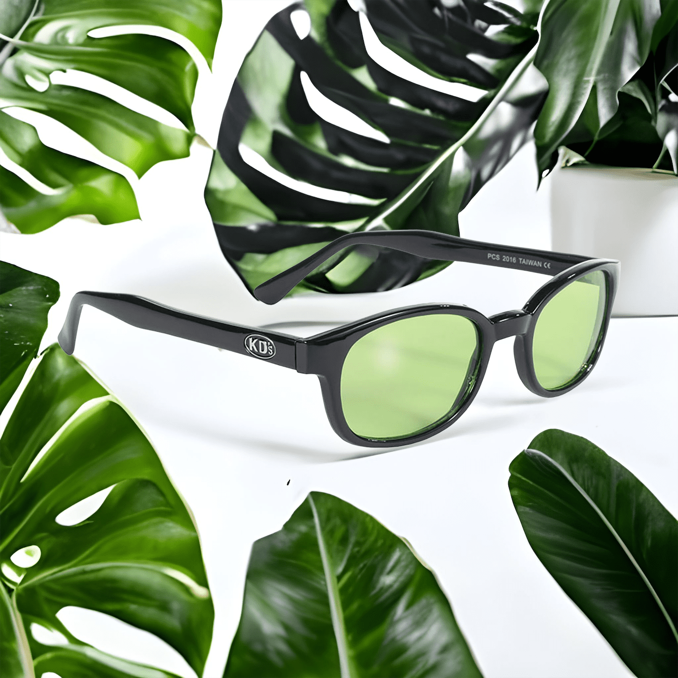 Lunettes de Soleil X-KD's 1016 - Monture noire classique et verres vert clair
